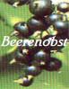 Beerenobst