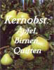 Kernobst