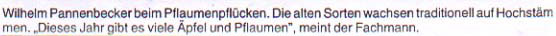 Ausschnitt 6